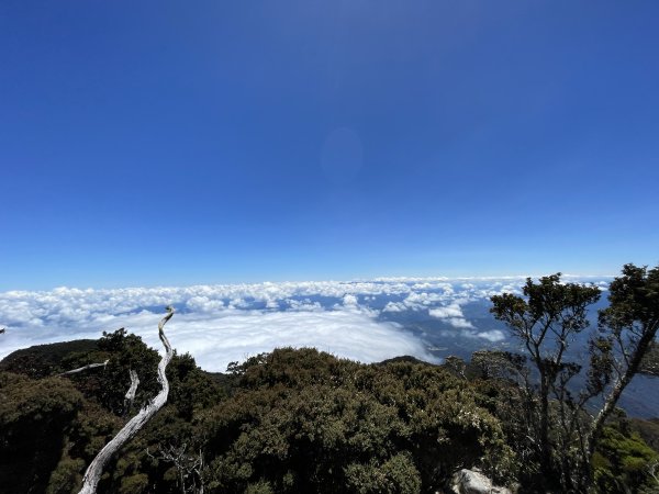 馬來西亞神山：日出、大景、豬籠草 Malaysia's Kinabalu2997536