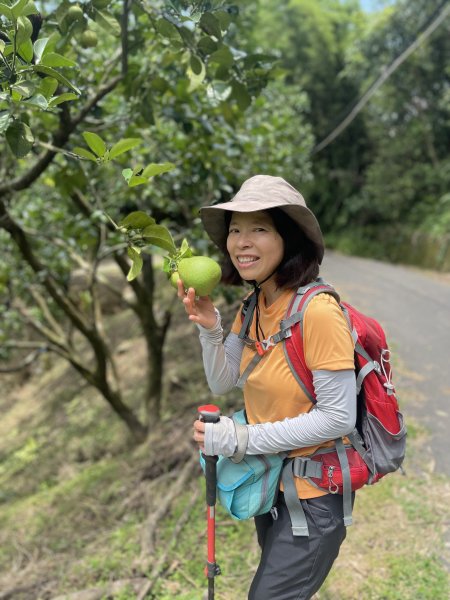 飛鳳山 大8三個山頭1722221