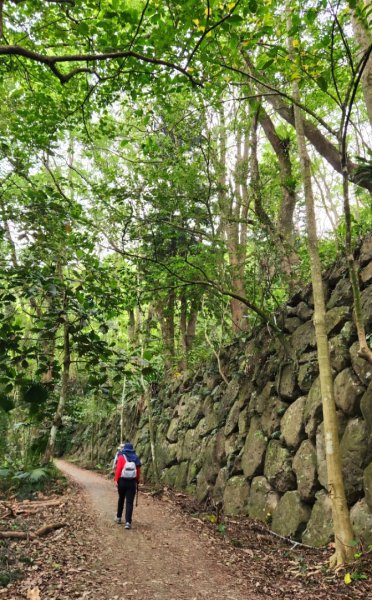 【中級山】台南第一高峰，關子嶺大凍山2741125