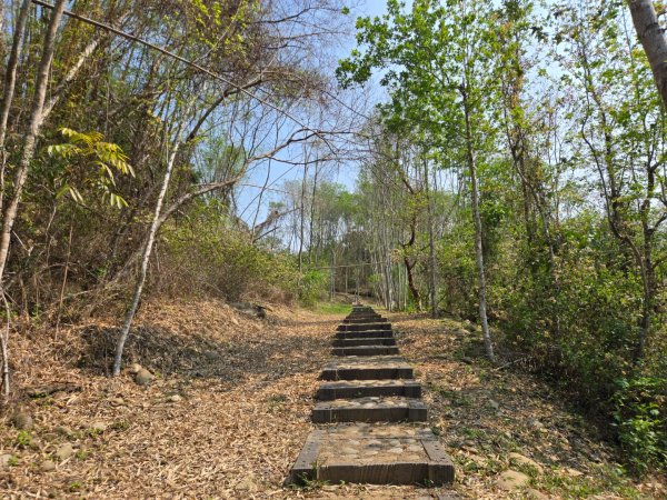 350高地、阿凰臘森林步道3033478