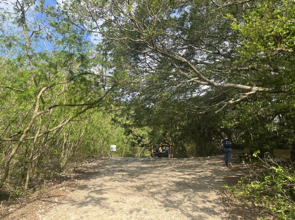 [踢不爛大地遊戲-10/10] 2024_0505 北柴山登山步道(北壽山)2496865