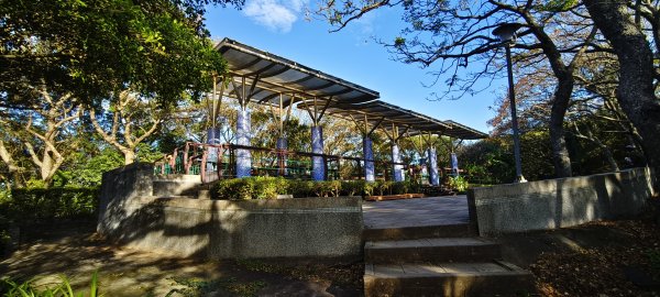 2025/11/30-桃園虎頭山步道O型2949548