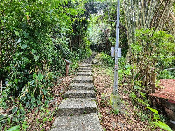 20251109四獸山步道2961728