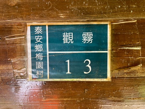 新竹 五峰 觀霧國家森林遊樂區 大鹿林道西線 榛山步道2811371