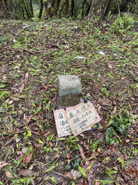 石碇大崙2761597