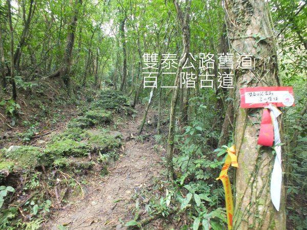 百二階古道+苕谷瀑布+逸仙山+泰和樓2734440