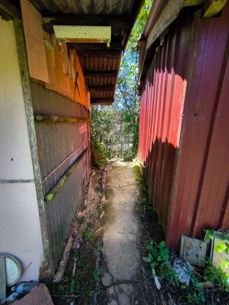 2024-08-22 澀水森林步道2578474