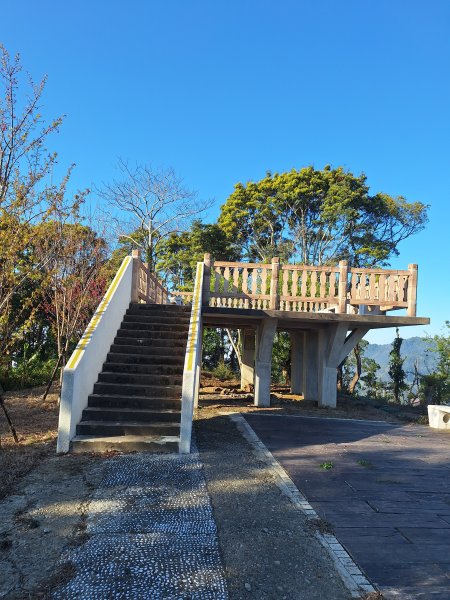 八角崠山+協雲宮櫻花步道202502152712857