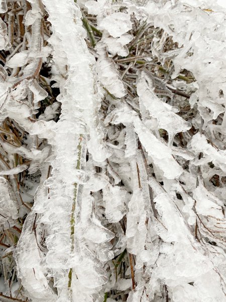 合歡銀白北國風情追雪趣 20211111235449