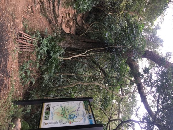 五酒桶山、南崁山2693320