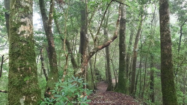《雲林》望好望角｜石壁山嘉南雲峰步道(中側登山口）202506072805378