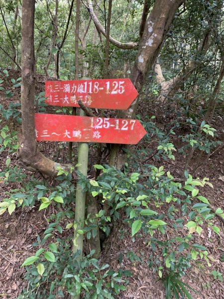 20250127屏東坪埔厝山-草山-南湖呂山西峰-南湖呂山2705097