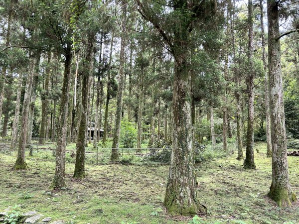 福山植物園3053386