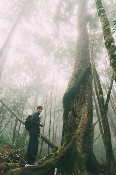 谷關七雄之二｜馬崙山393448