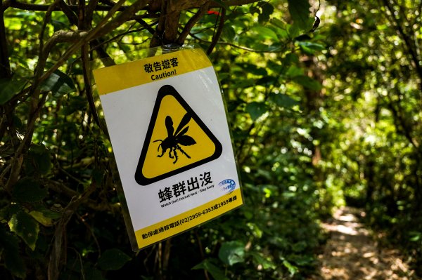 觀音山 硬漢嶺2870049