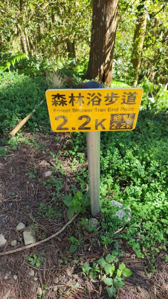 溪頭自然教育園區2938864