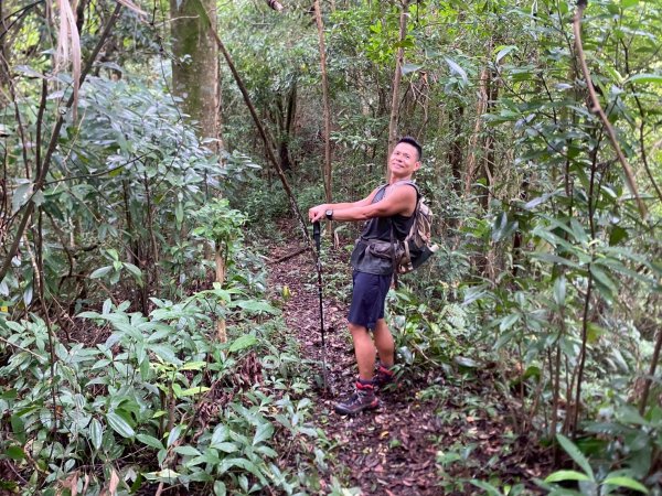 新竹橫山.大崎棟古道.騎龍古道【二個古道走向二個截然不同的方向】2868740