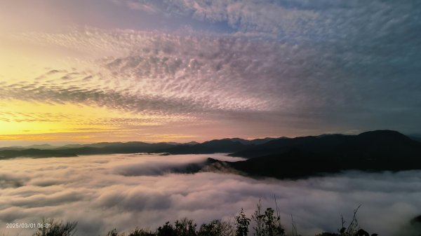 翡翠水庫壩頂 #曙光 #日出 #火燒雲 #斜射光(上帝光) #雲海 3/12722433