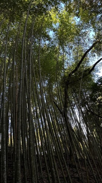 霞喀羅古道白石吊橋2389832