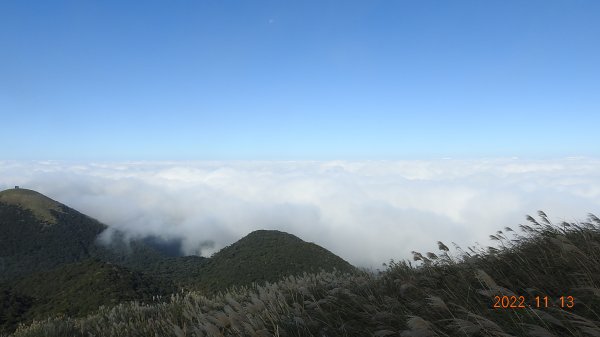 11/13大屯山再見雲海+日月爭輝1908663