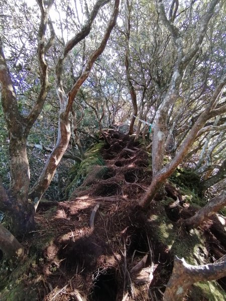 高島P型縱走1200942