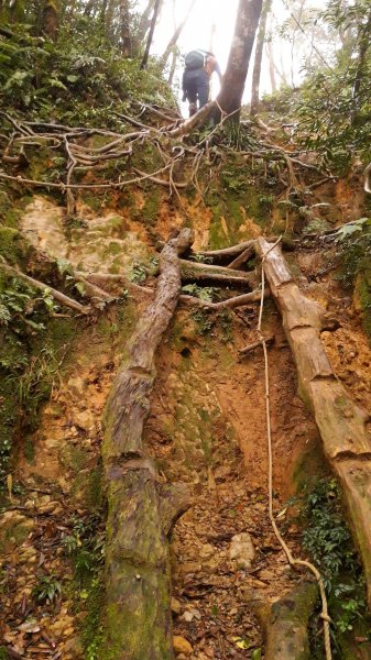 雨神山友：終於中籤的北插天山539966