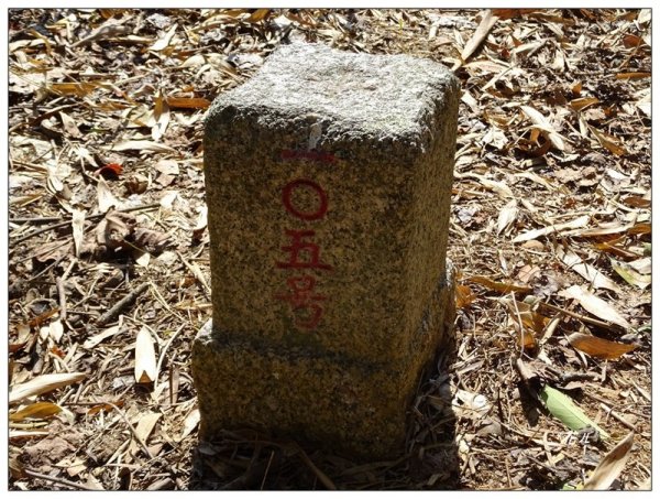 后里/七塊山O形縱走