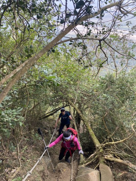 旗尾山、靈山、月光山連稜縱走2711721