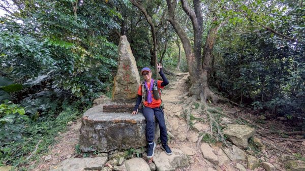 114.09.14青龍嶺-秋壇山-鎮遠山-大青坑崙-三角埔頂山之旅(二)2884596