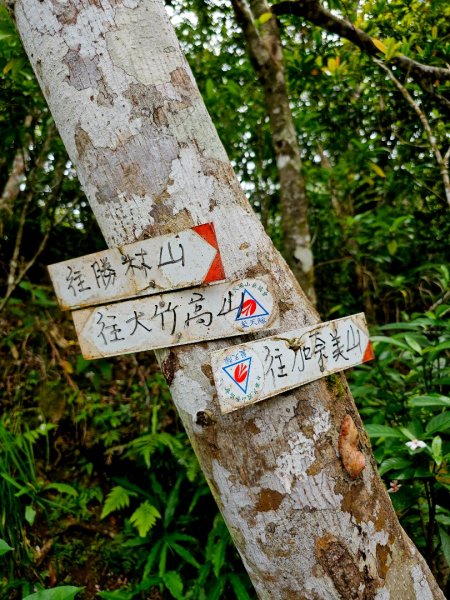 加奈美山-小百岳#95-台東縣大武鄉2776999