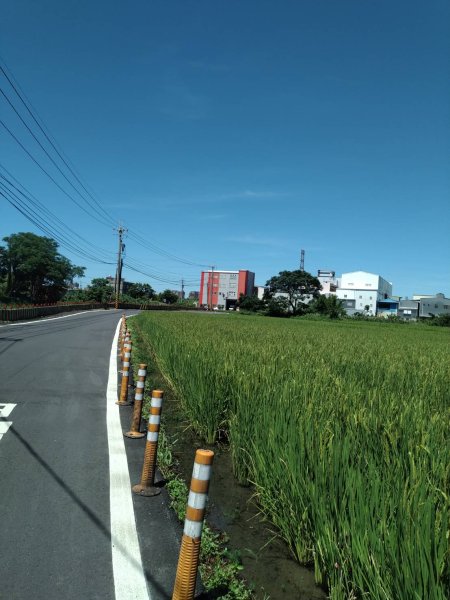 宵裡好風光－茄苳宵裡陽光單車之旅2817254