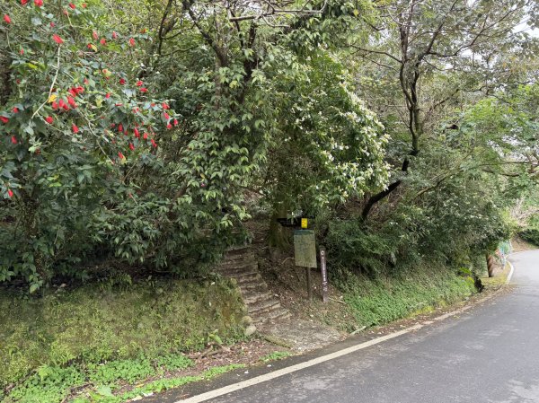 [微笑山線_第四段] 2026_0321 天上山系_石門內尖山東峰3021302