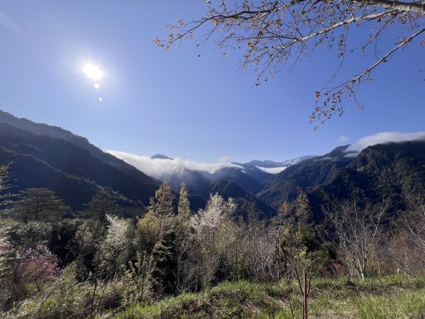 ~ 上帝的部落 - 司馬庫斯 ~3023499