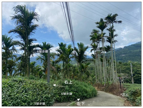 樟湖山 右上左下 (雲林、古坑)2846326