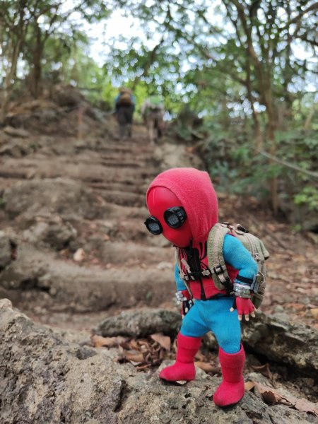 2023.12.24 高雄壽山2835325