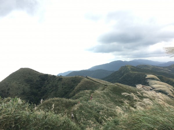 草嶺古道_桃源古大草原_大溪 縱走899835