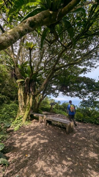 113.06.22坪溪古道-石坑山之旅2533779