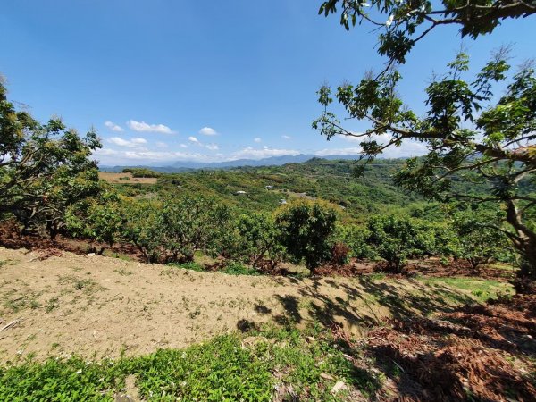 彰化大村落羽松秘境，橫山，台74甲公路夜景，台中阿罩霧山，猴探井步道，天空之橋1843489