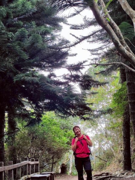 馬那邦山（珠湖登山口）2933930