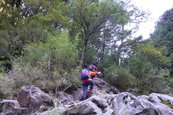 阿興阿賢合歡溪步道上合歡西峰1491174