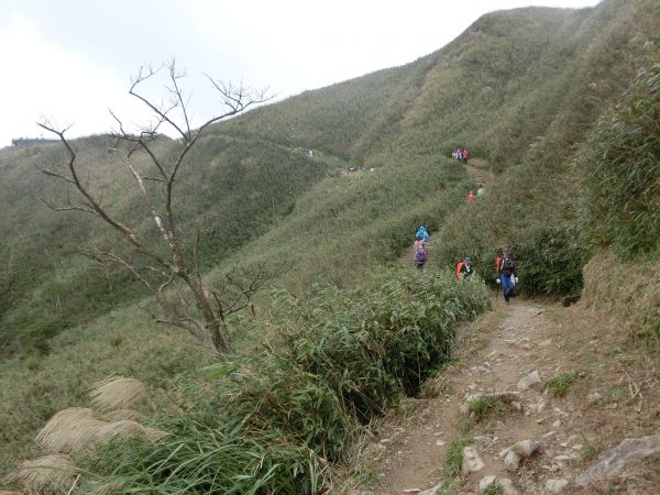 五峰旗瀑布．聖母登山步道198651