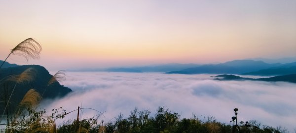 #翡翠水庫壩頂 #日出 #雲海 #藍腹鷴 2/22 #年初六3004056