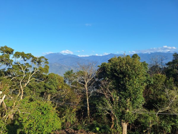 八角崠山+協雲宮櫻花步道202502152712858