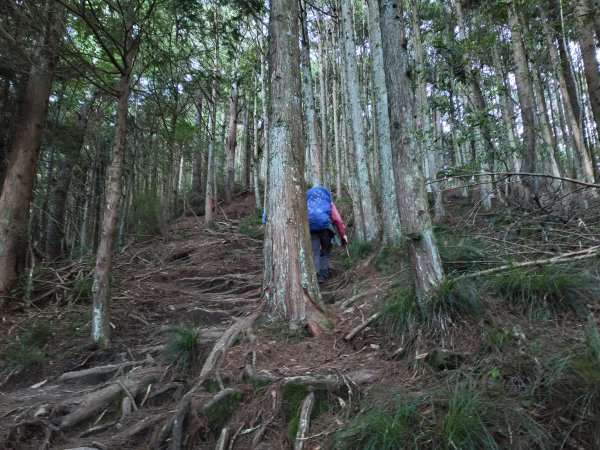 北一段(01/14)勝光山 2025_0906~132885049