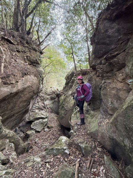 大坪祕境的奇岩2672554