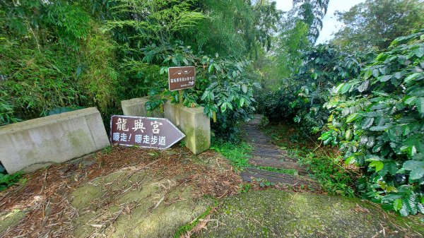 雲嘉九連峰1438940