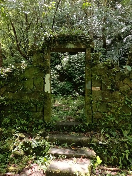 雙溪區崩山坑古道+下坑山稜線越嶺路+下坑山O型2839796