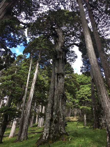 雪山東北主峰-2018/6/29~7/1828059