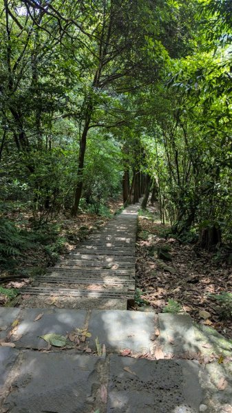 絹絲瀑布步道3062945