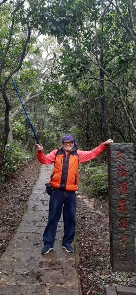 大崙頭山1299806